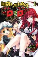 High School DxD, Vol. 1 (light novel) image