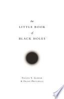 The Little Book of Black Holes image