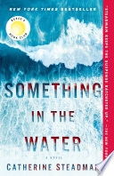Something in the Water image