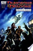 Dungeons & Dragons: Forgotten Realms #1 image