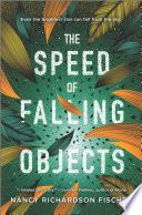 The Speed of Falling Objects