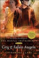 City of Fallen Angels image