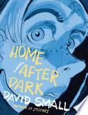 Home After Dark: A Novel