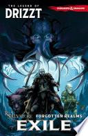 Dungeons & Dragons: The Legend of Drizzt, Vol. 2: Exile image