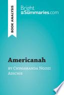 Americanah by Chimamanda Ngozi Adichie (Book Analysis) image