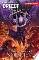 Dungeons & Dragons: The Legend of Drizzt, Vol. 3: Sojourn image