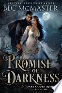 Promise of Darkness image