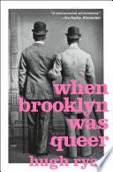 When Brooklyn Was Queer image