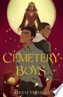 Cemetery Boys image