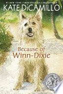 Because of Winn-Dixie image