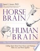 Horse Brain, Human Brain