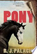 Pony image