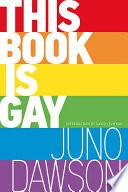 This Book Is Gay image