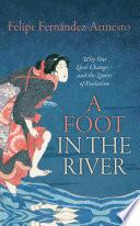 A Foot in the River