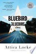 Bluebird, Bluebird image