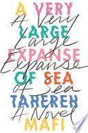 A Very Large Expanse of Sea image