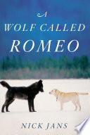 A Wolf Called Romeo image