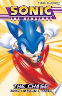 Sonic the Hedgehog 2: The Chase image