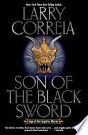 Son of the Black Sword image