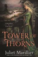 Tower of Thorns: Blackthorn and Grim 2 image