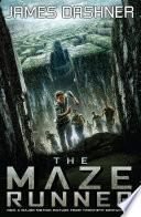 The Maze Runner image