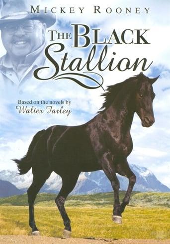 Adventures of the Black Stallion image