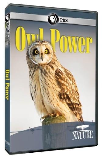 Owl Power