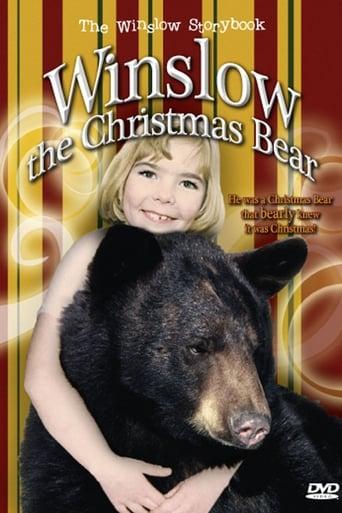 Winslow the Christmas Bear