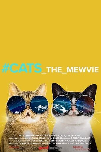 #cats_the_mewvie image