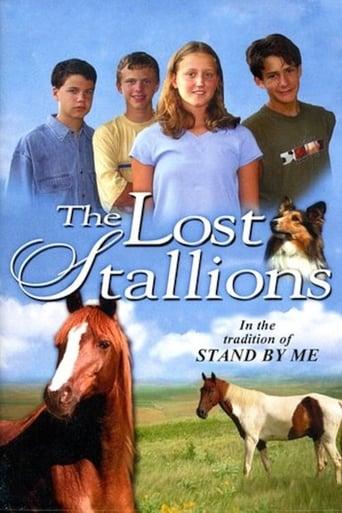 The Lost Stallions image