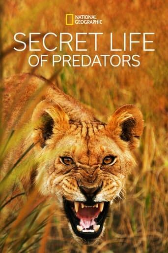 Secret Life of Predators