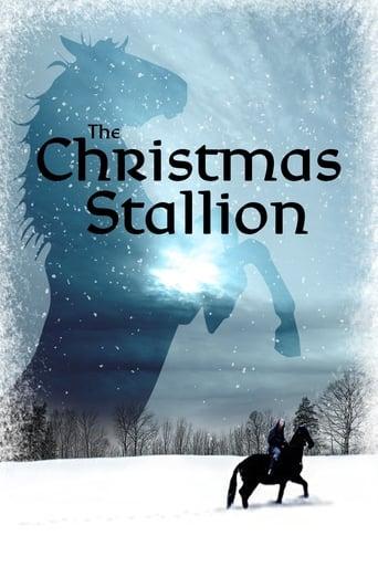 The Winter Stallion