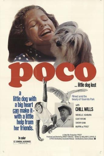 Poco… Little Dog Lost image
