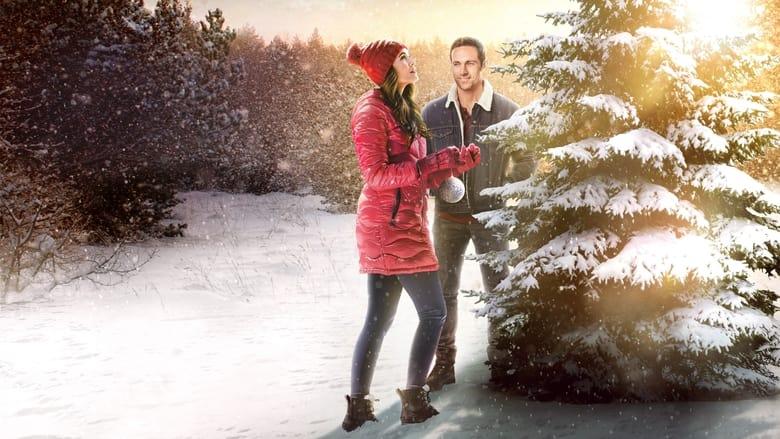 The Christmas Promise image