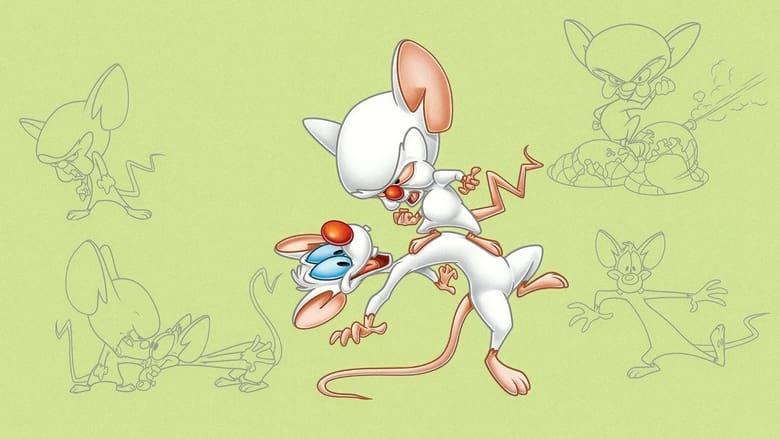 Pinky and the Brain image