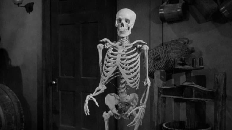 The Lost Skeleton of Cadavra image