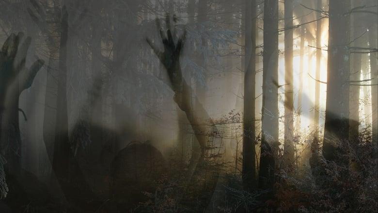 Paranormal Survivor image
