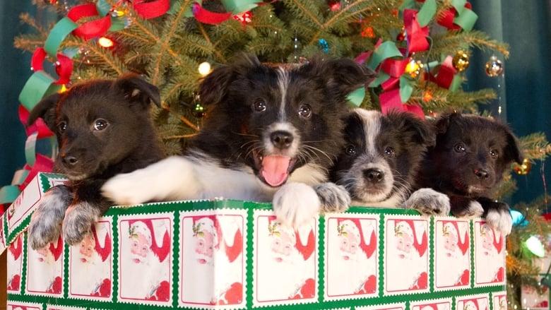 12 Dogs of Christmas: Great Puppy Rescue image