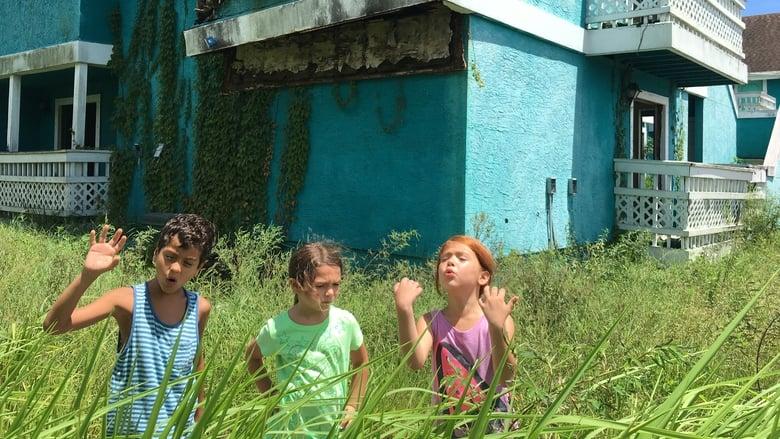 The Florida Project image