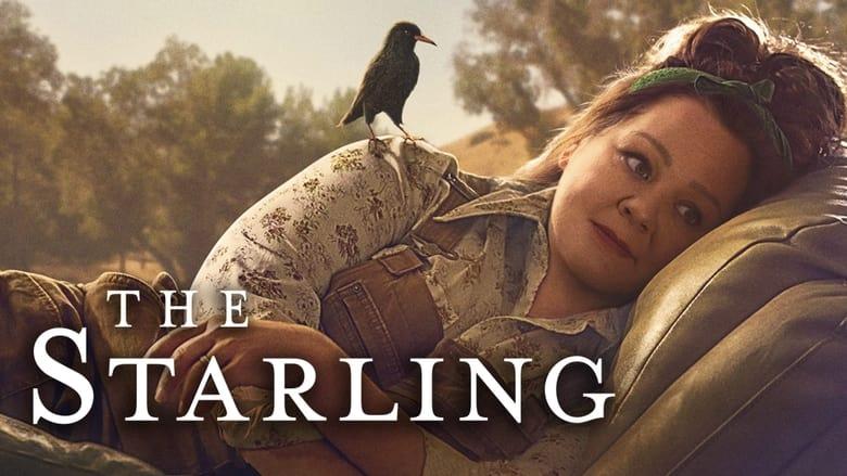 The Starling image