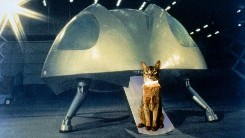 The Cat from Outer Space image