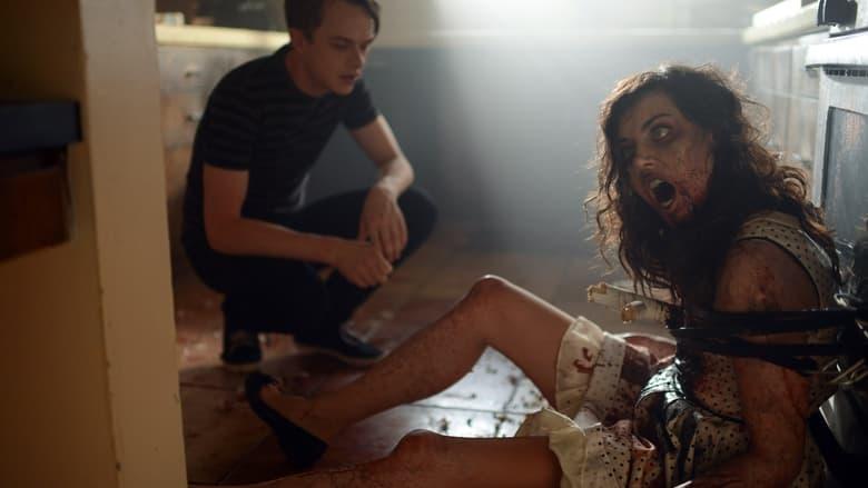 Life After Beth image