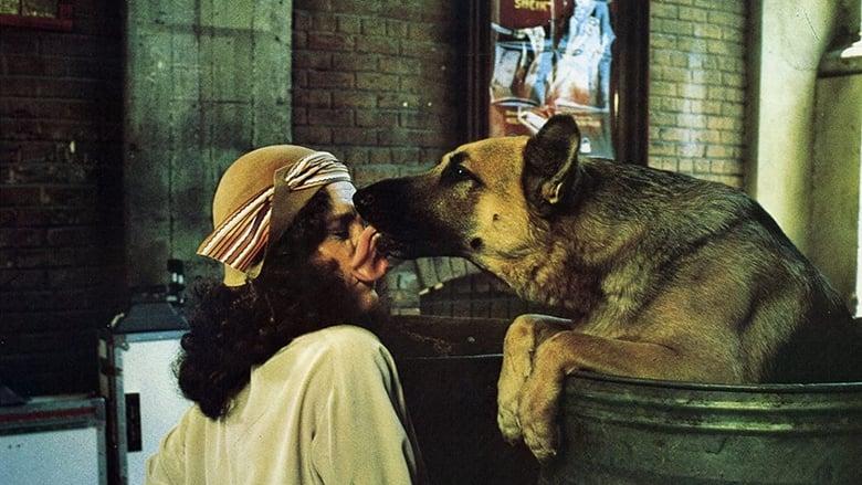 Won Ton Ton: The Dog Who Saved Hollywood image