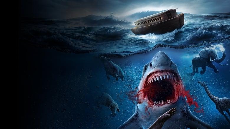 Noah’s Shark image
