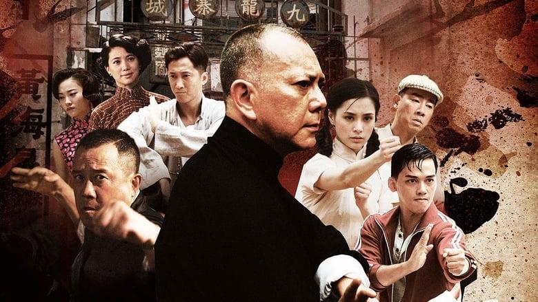 Ip Man: The Final Fight image