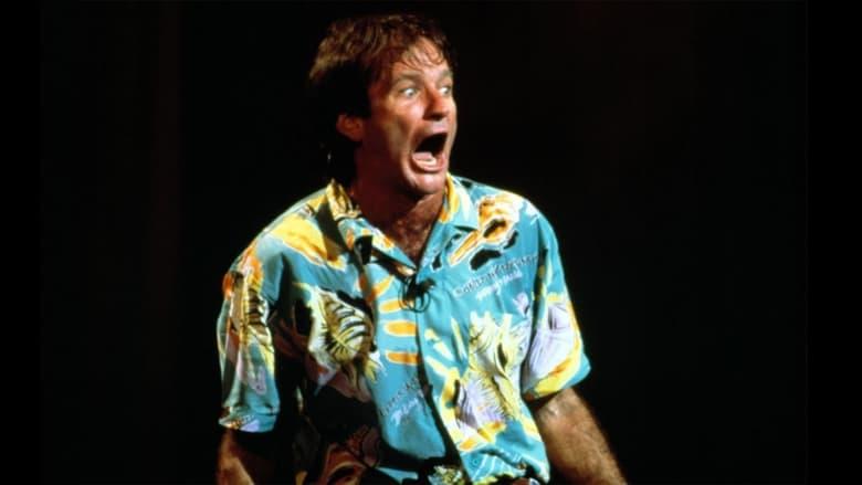 Robin Williams: An Evening at the Met image