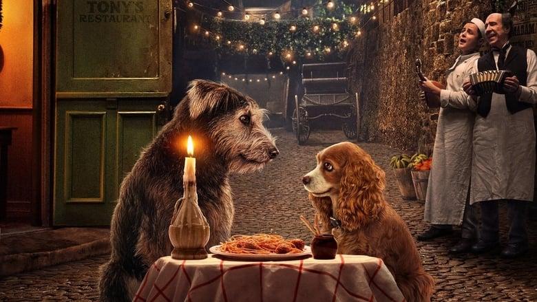 Lady and the Tramp image
