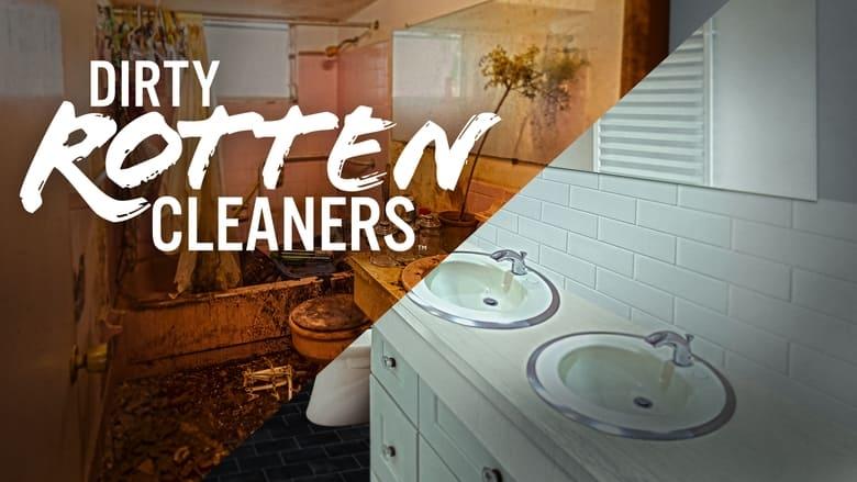 Dirty Rotten Cleaners image