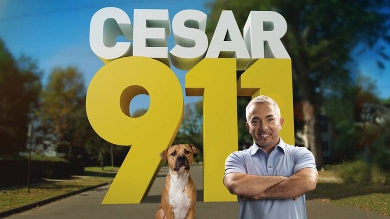 Cesar 911 image