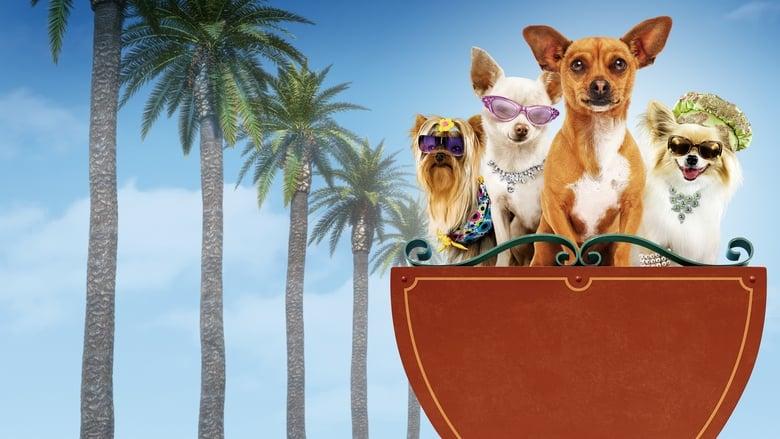Beverly Hills Chihuahua image